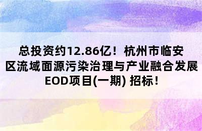 总投资约12.86亿！杭州市临安区流域面源污染治理与产业融合发展EOD项目(一期) 招标！